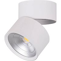 Светильник светодиодный накладной Feron AL520 25Вт 4000K Белый картинка 